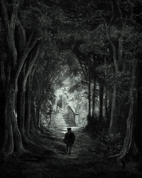 La Belle au Bois dormant et autres contes