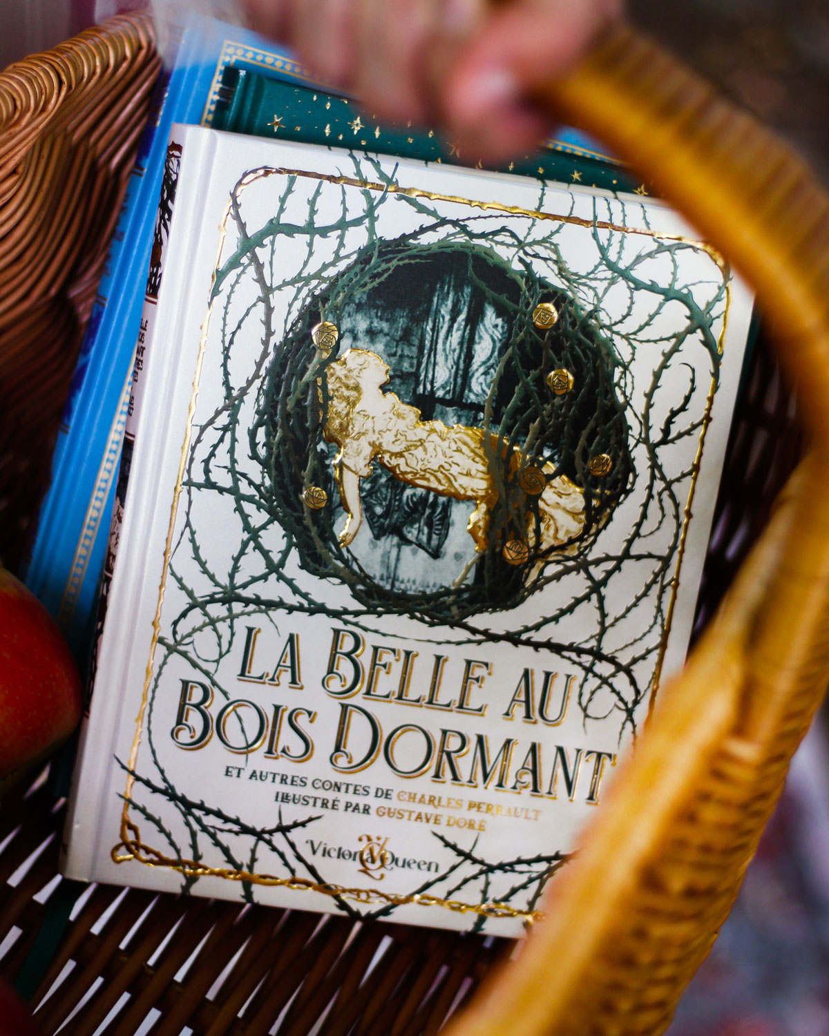 belle-au-bois-dormant-3